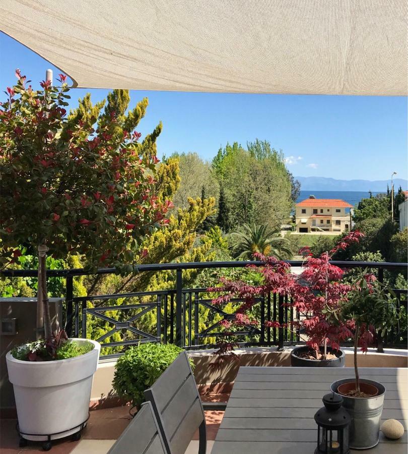 Nireon Apartment Nea Iraklitsa Buitenkant foto